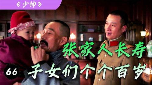 少帅11集在线观看