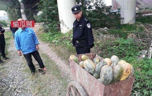 汾阳吃瓜最新事件爆料新闻,最新爆料揭示惊人内幕 第3张 汾阳吃瓜最新事件爆料新闻,最新爆料揭示惊人内幕 第3张